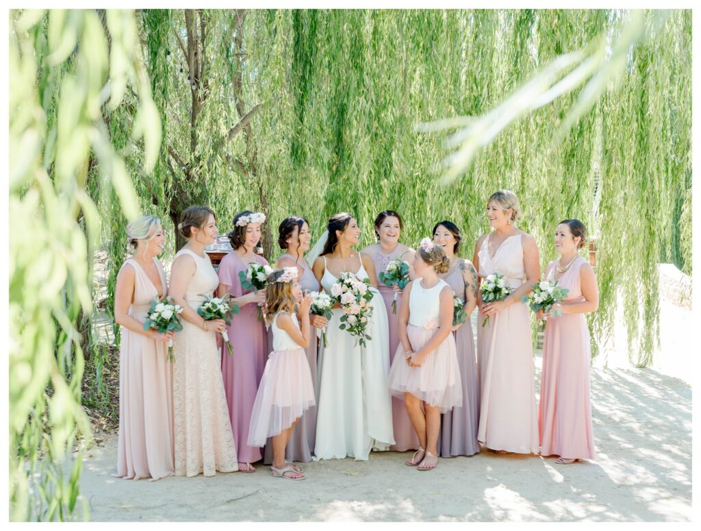 Bridesmaids stand together under the willow trees at Terra Mia vineyards and Paso Robles during the affordable wedding day in California.