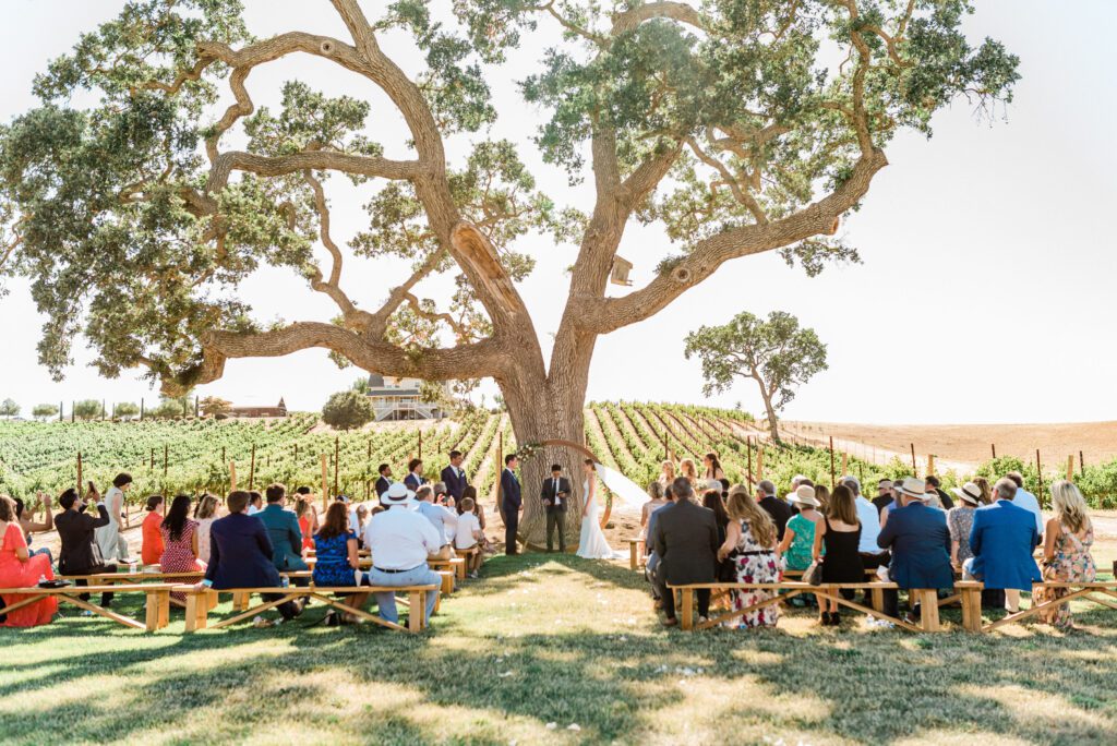 Bride and Groom say I do under a giant oak tree, overlooking a vineyard in San Luis Obispo during their wedding ceremony, while guest look on. In the distance is a beautiful, rustic farmhouse typical of Central Coast wedding venues.