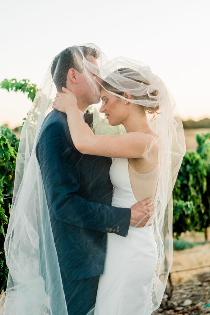 Bride and Groom stand together, romantically underneath the wedding veil in the vineyard at Ellas Vineyard during sunset.