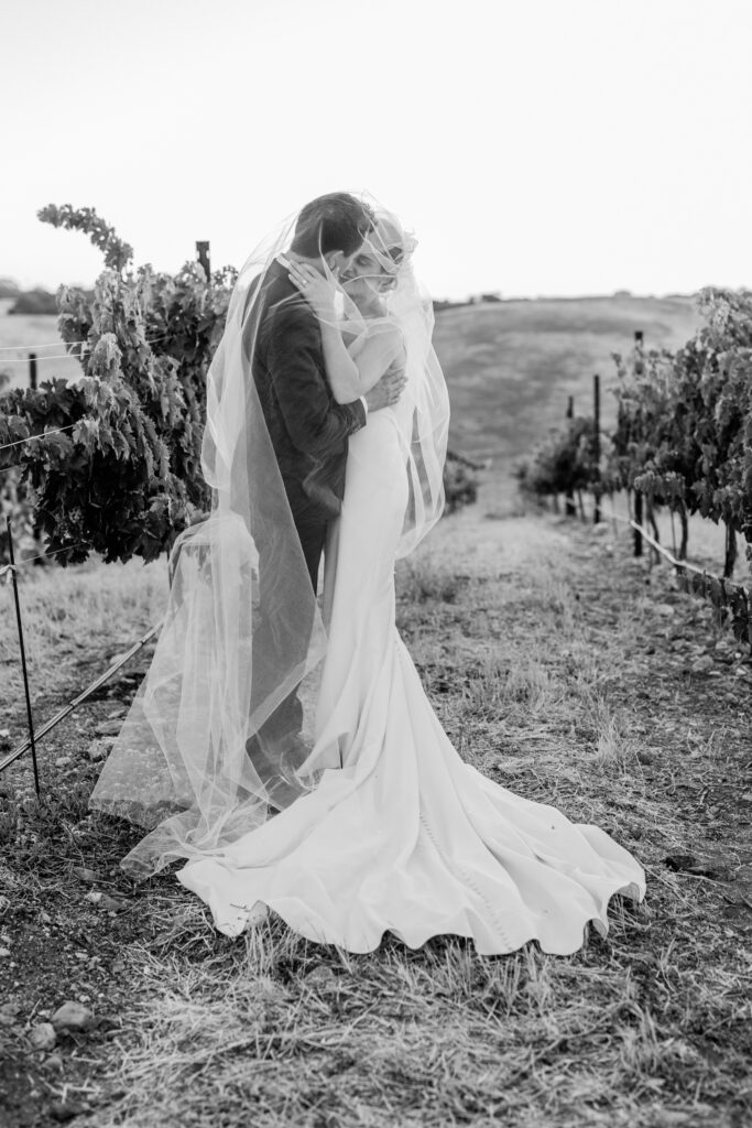 A candid sunset moment of a bride and groom underneath the veil during their wedding day at Ellas Vineyard in Paso Robles.