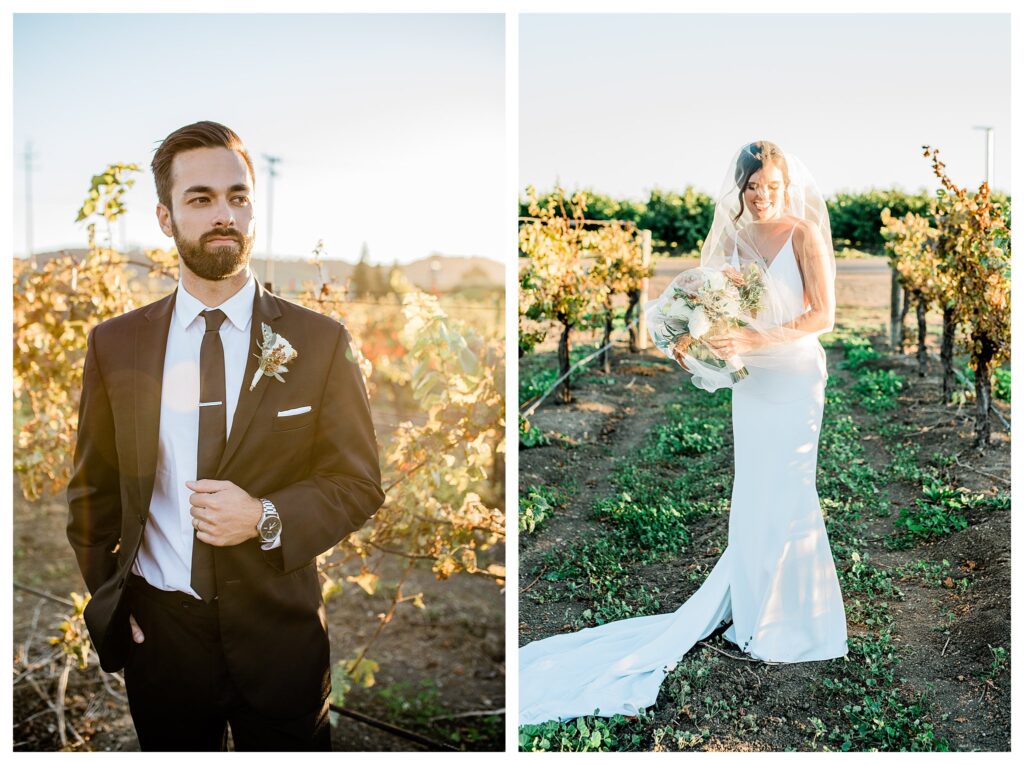 Slo brew Rock wedding  bride and groom at sunset kissing in the warm fall colors in a san luis obispo vineyard.