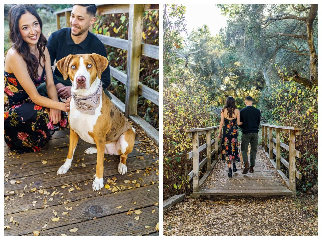 Bringing your dog along to your engagement session in San Luis Obispo is a great way to add an extra special touch to your photos.