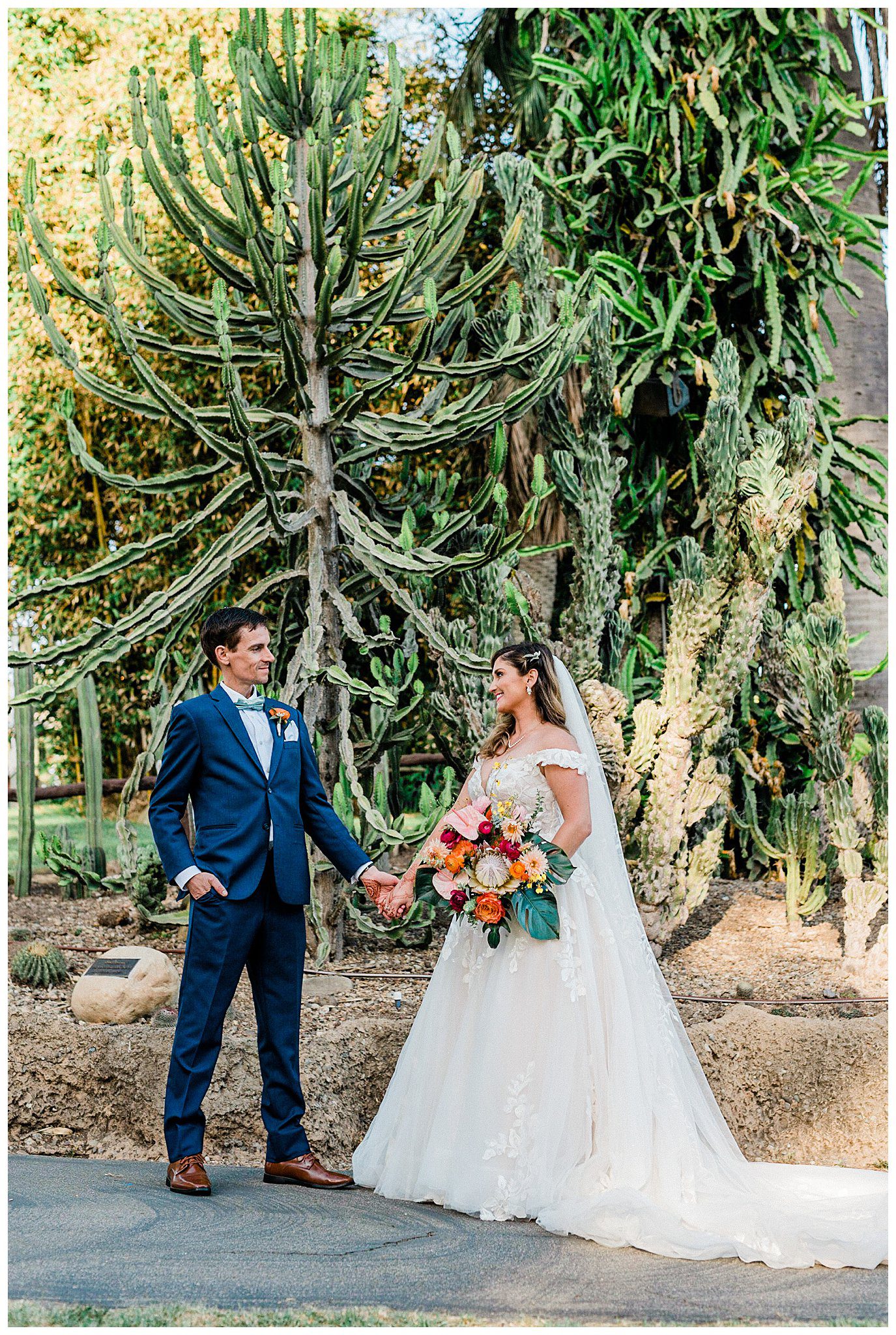A bride and groom and wedding attire stand in front of a giant cactus in the garden at the Santa Barbara zoo at their wedding.