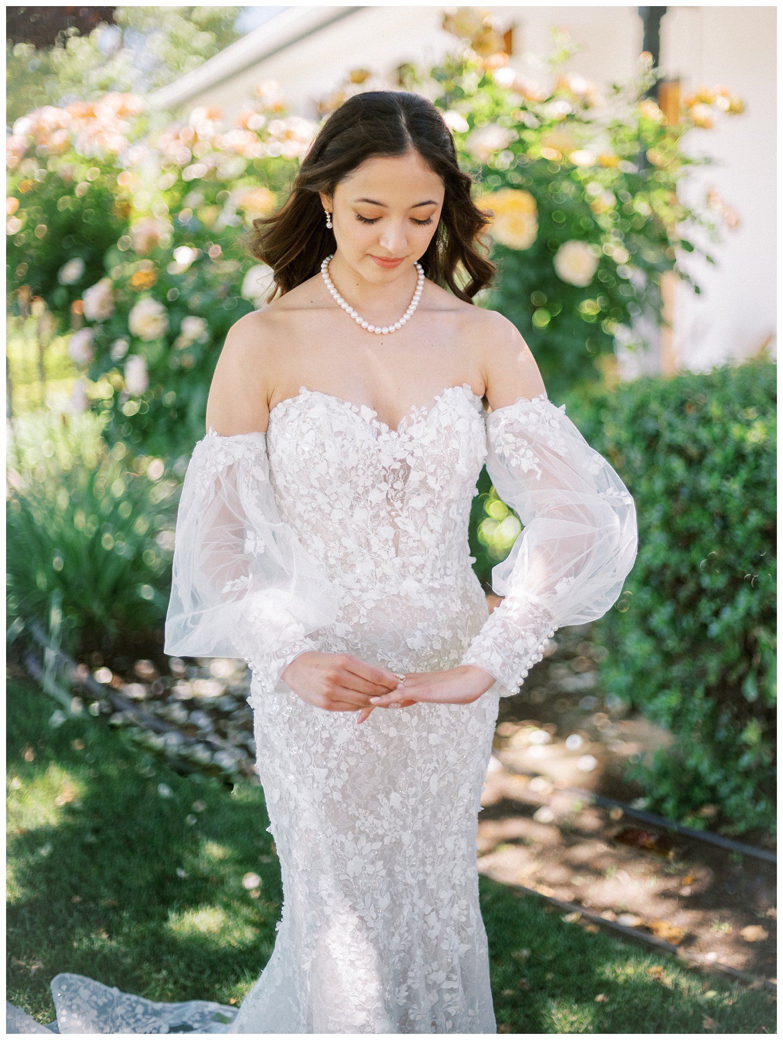 A bride and a classic long sleeved wedding dress dress stand in front of the roses at the Matt house at Bella Terra Vineyards in Paso Robles during her classic Vineyard wedding day.