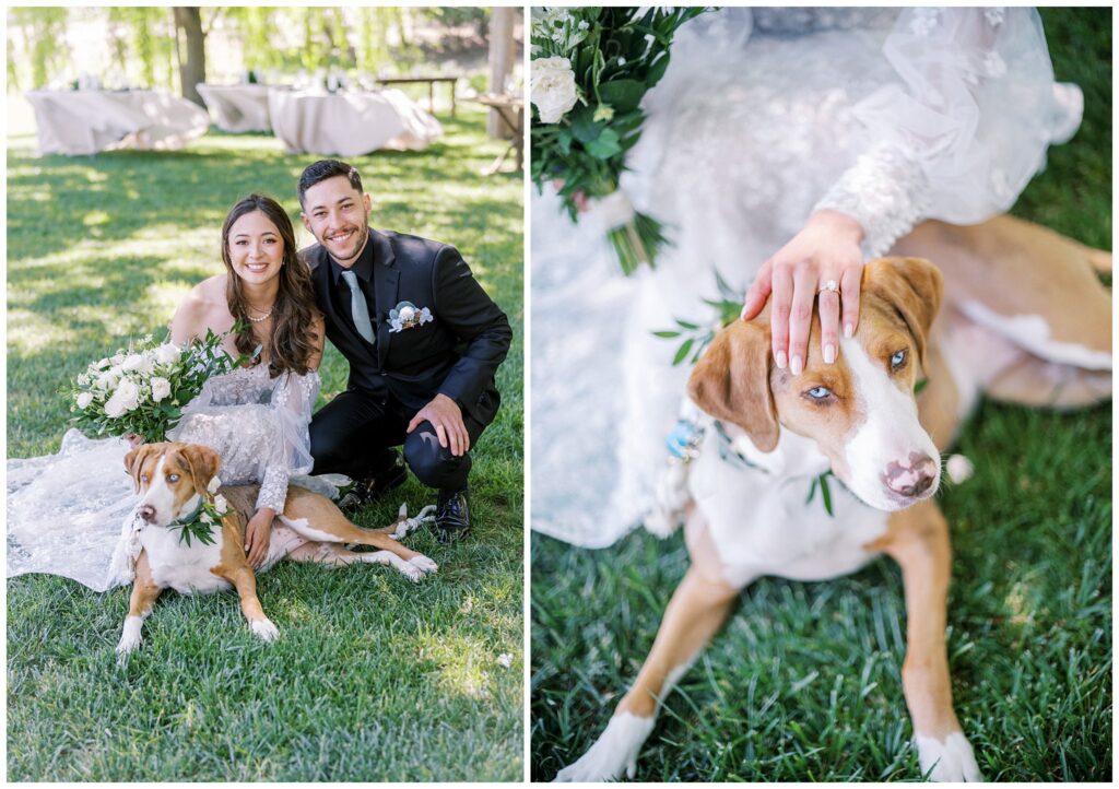A bride and groom with their dog during their Bella terra vineyard wedding ceremony in Paso Robles, California